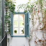 1927 Heritage House - Indoor Garden , Old *